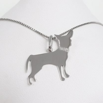 Silver necklace “Pincher”