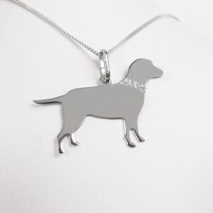 Silver necklace “Labrador”