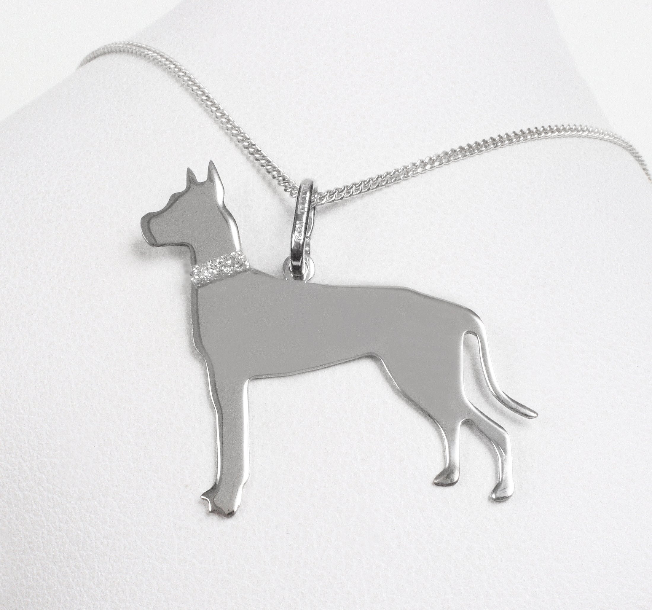 Sudraba kaklarota “Alano Español”