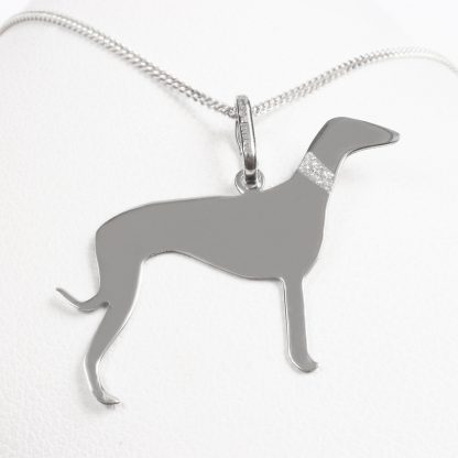 Sudraba kaklarota “Italian Greyhound”